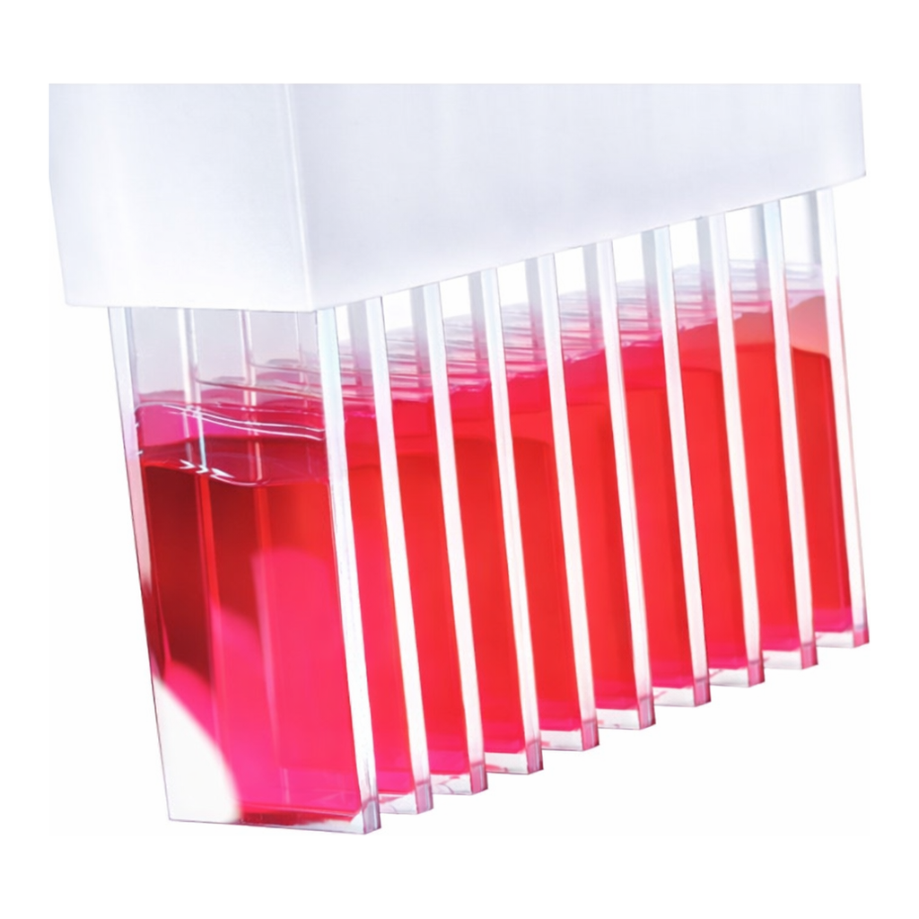 Thermo Fisher Scientific ProbeOn and ProbeOn Plus Slides, ProbeOn Slides