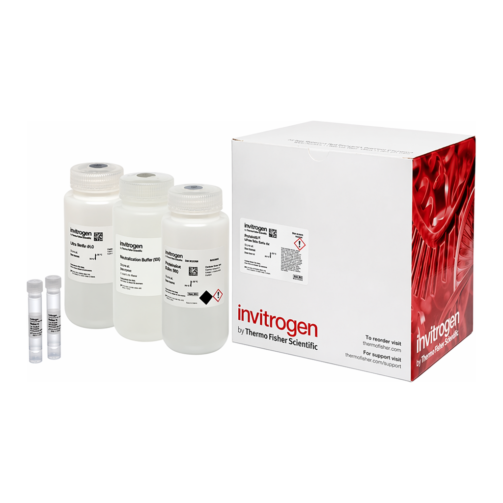 Thermo Fisher Scientific PureLink HiPure BAC Buffer Kit