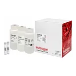Thermo Fisher Scientific PureLink HiPure BAC Buffer Kit