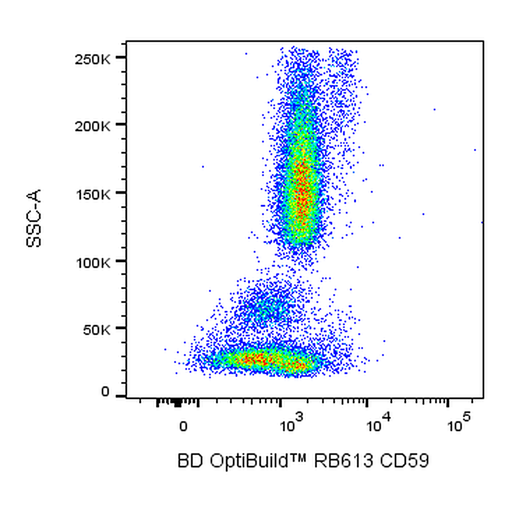 BD RB613 Mouse Anti-Human CD59