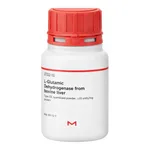 Merck L-Glutamic Dehydrogenase from bovine liver