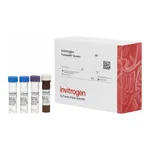 Thermo Fisher Scientific Ghrelin Human ProcartaPlex Simplex Kit