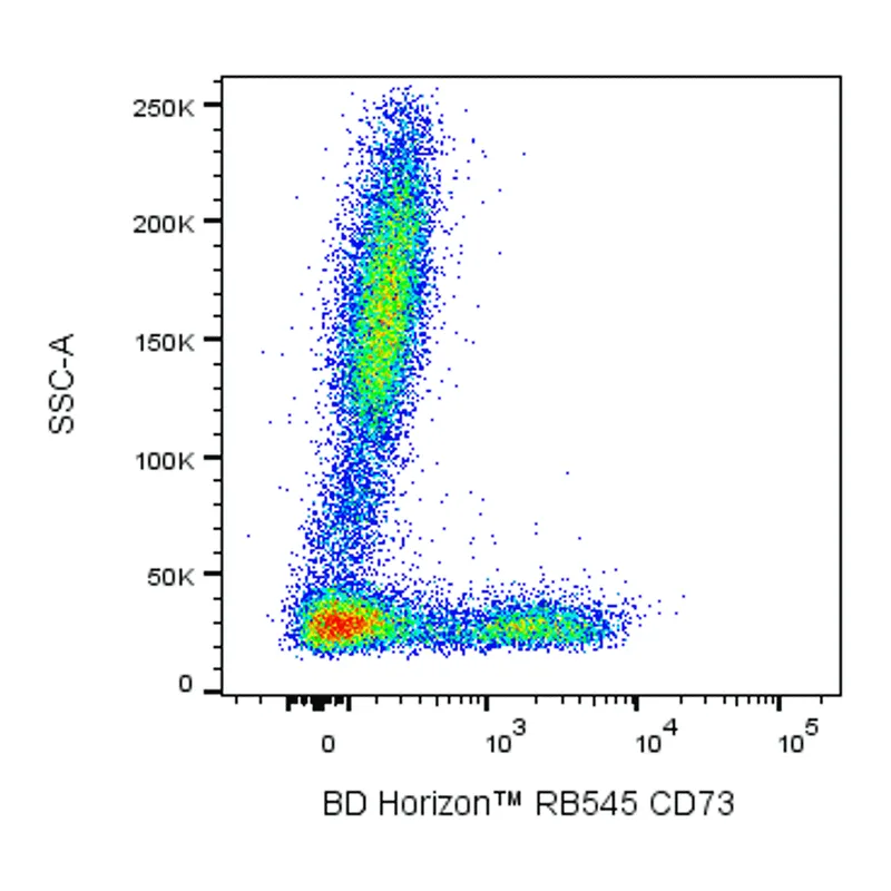 BD RB545 Mouse Anti-Human CD73