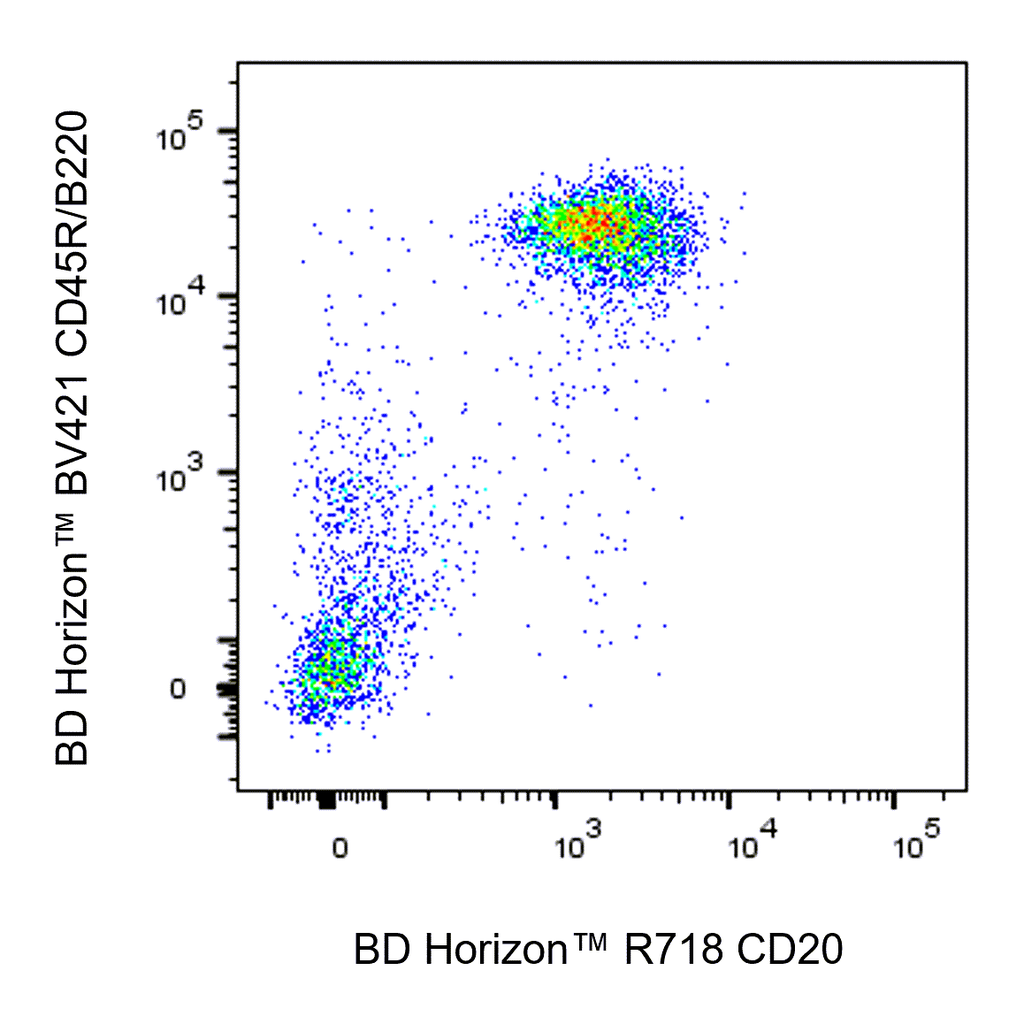 BD R718 Rat Anti-Mouse CD20