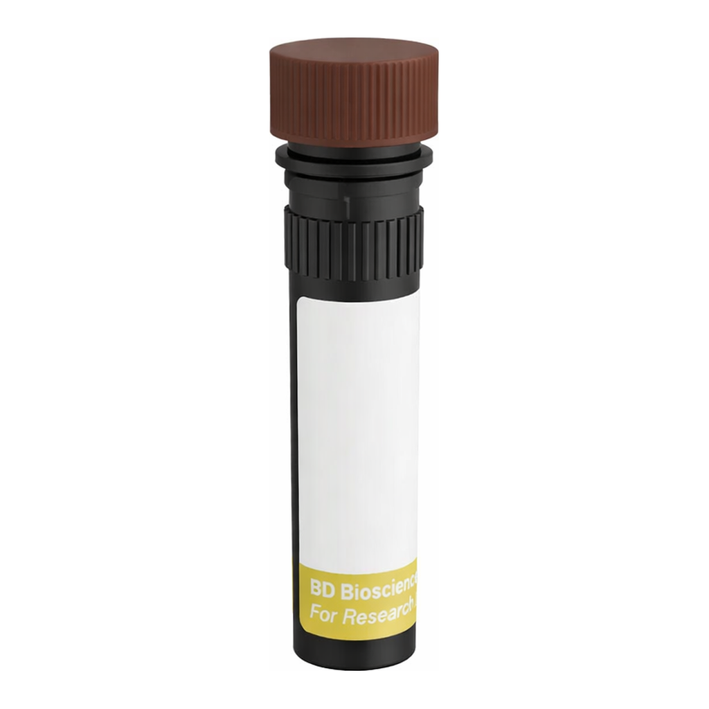 BD RY703 Mouse Anti-Human Chondroitin Sulfate (NG2)