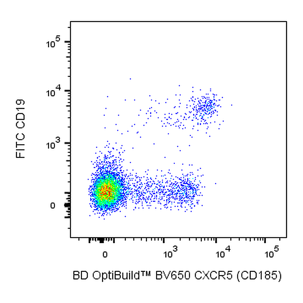 BD BV650 Rat Anti-Human CXCR5 (CD185)