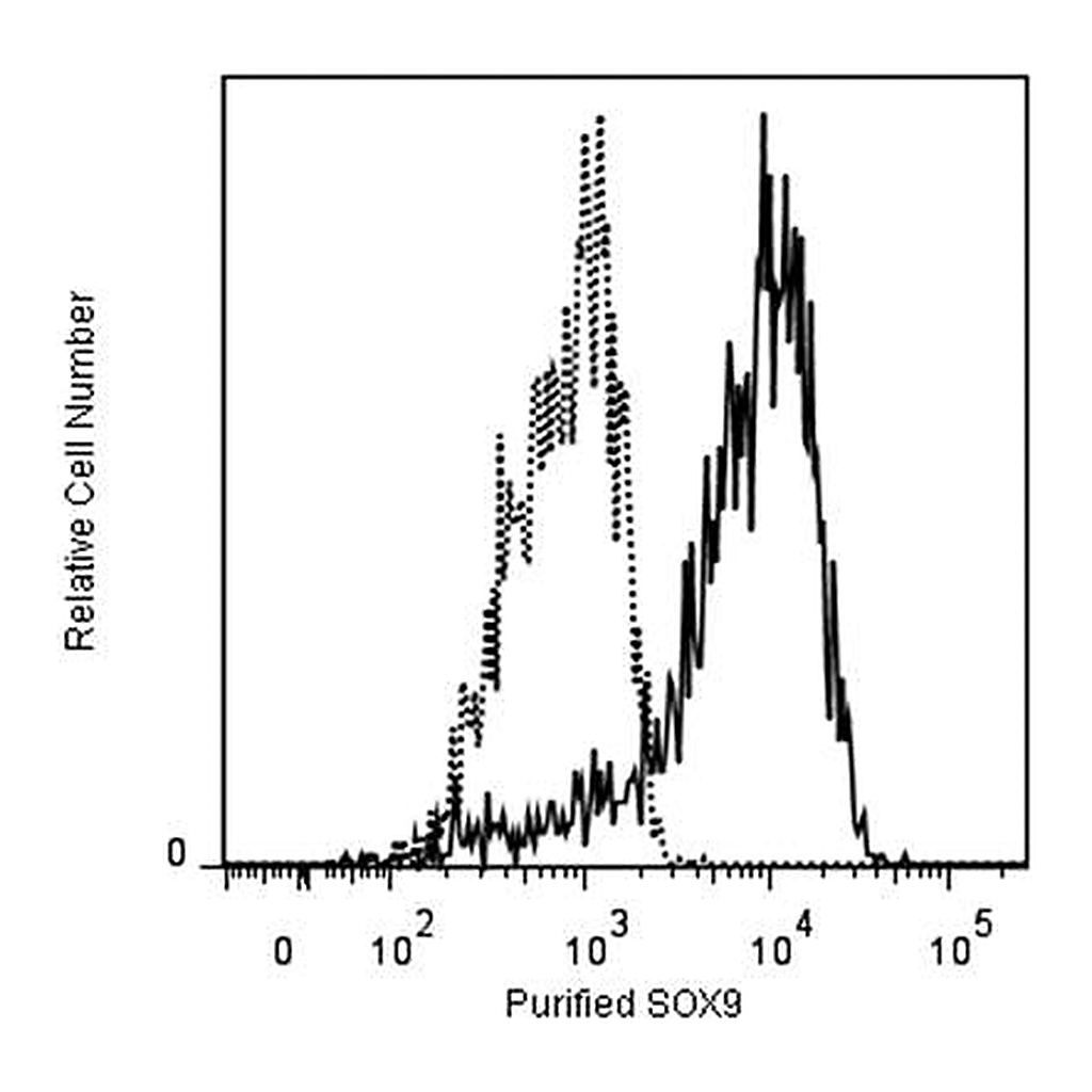 BD Purified Mouse Anti-Sox 9