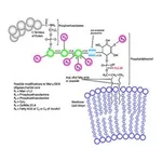 Merck PHOSPHOLIPASE C, PHOSPHATIDYLINOSITOL- S