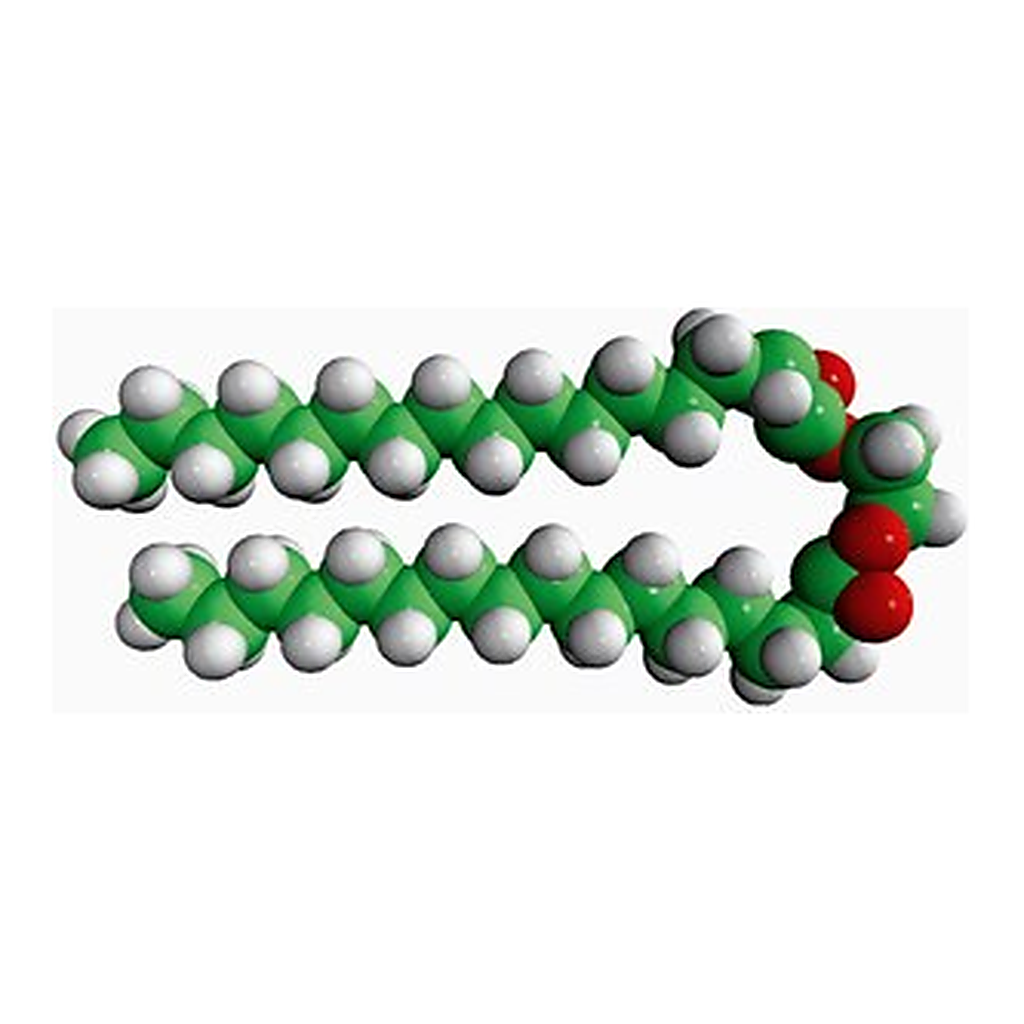 Merck 16:0 ETHYLENE GLYCOL