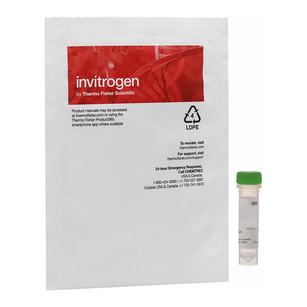 Thermo Fisher Scientific pHrodo Green Maleimide