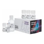 Thermo Fisher Scientific Click-iT Plus EdU Alexa Fluor 350 Flow Cytometry Assay Kit