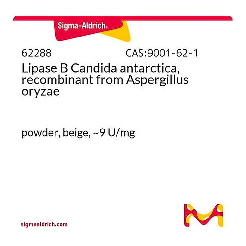 Merck Lipase B Candida antarctica, recombinant from Aspergillus oryzae