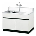 Laboratory Sink Table 목재형 실험실용 싱크대, Stainless Steel Plate & Bowl