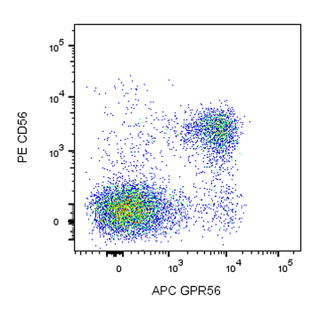 BD APC Mouse Anti-Human GPR56