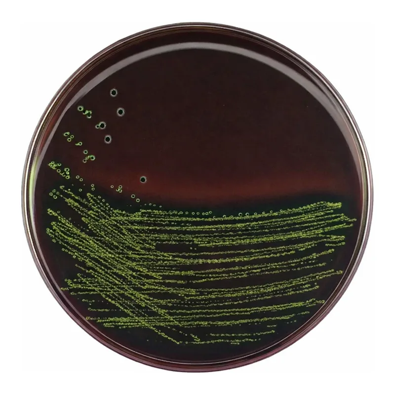 Merck EMB AgarNutriSelect Plus