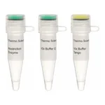 Thermo Fisher Scientific Hin1II (NlaIII) (5 U/μL)
