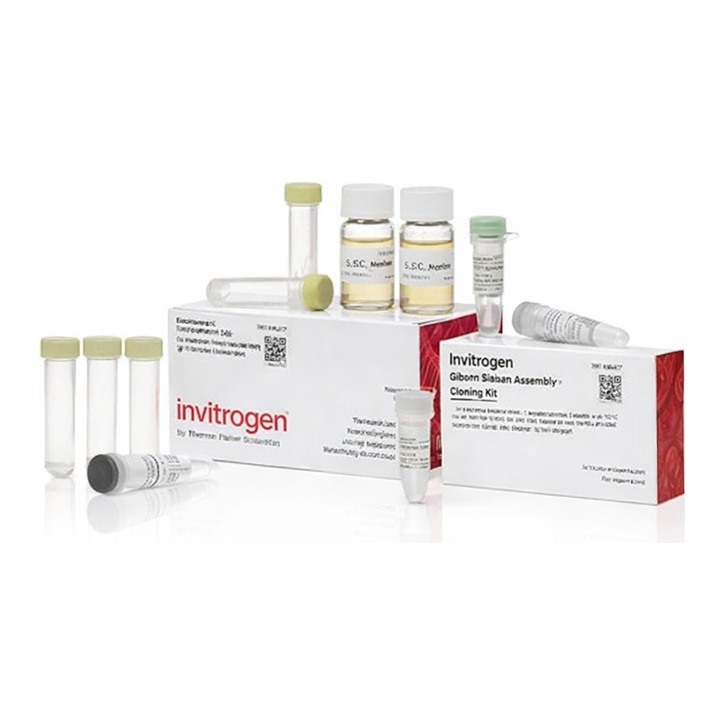Thermo Fisher Scientific GeneArt Gibson Assembly HiFi Cloning Kit, electrocompetent cells