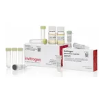 Thermo Fisher Scientific GeneArt Gibson Assembly HiFi Cloning Kit, electrocompetent cells