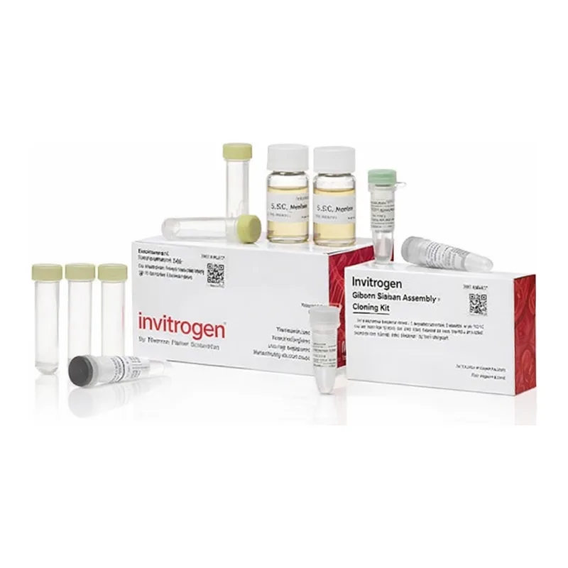 Thermo Fisher Scientific GeneArt Gibson Assembly HiFi Cloning Kit, electrocompetent cells