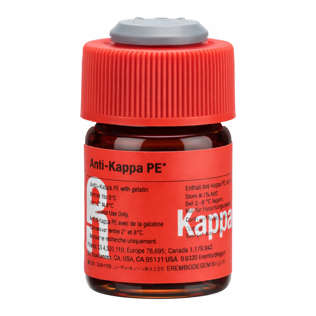 BD PE Mouse Anti-Human Kappa