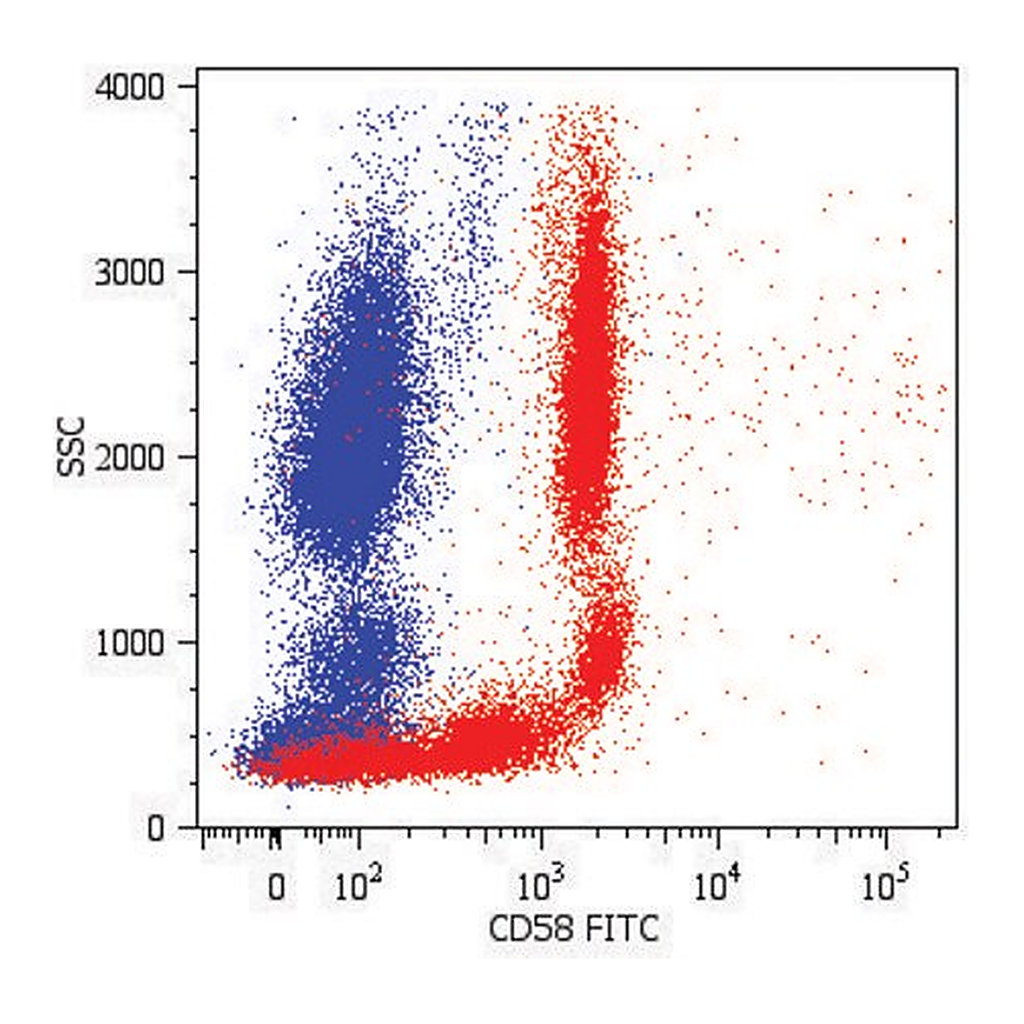 Merck Monoclonal Anti-CD58-FITC antibody produced in mouse