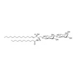 Merck C12 Lactosyl(beta) Ceramide (d18:1/12:0)