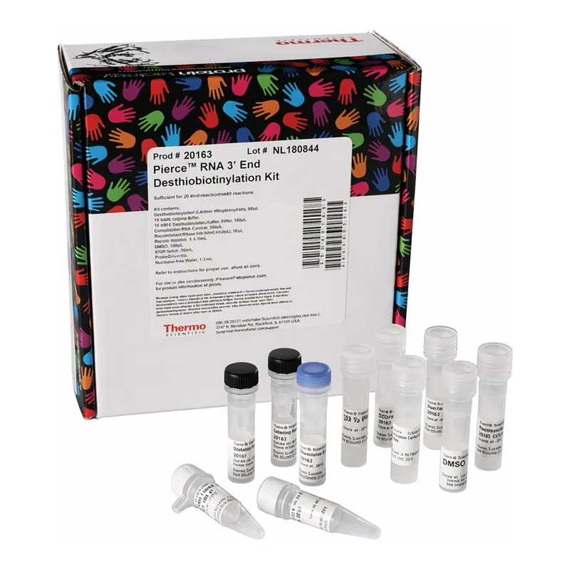 Thermo Fisher Scientific Pierce RNA 3` End Desthiobiotinylation Kit