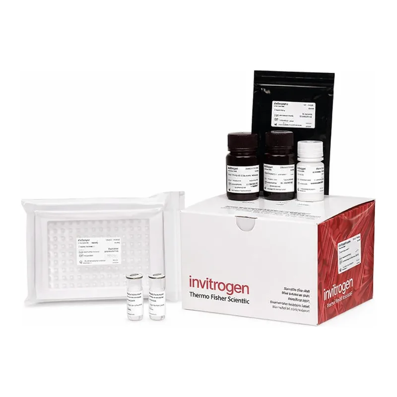 Thermo Fisher Scientific Reactive Oxygen Species (ROS) Fluorometric Assay Kit