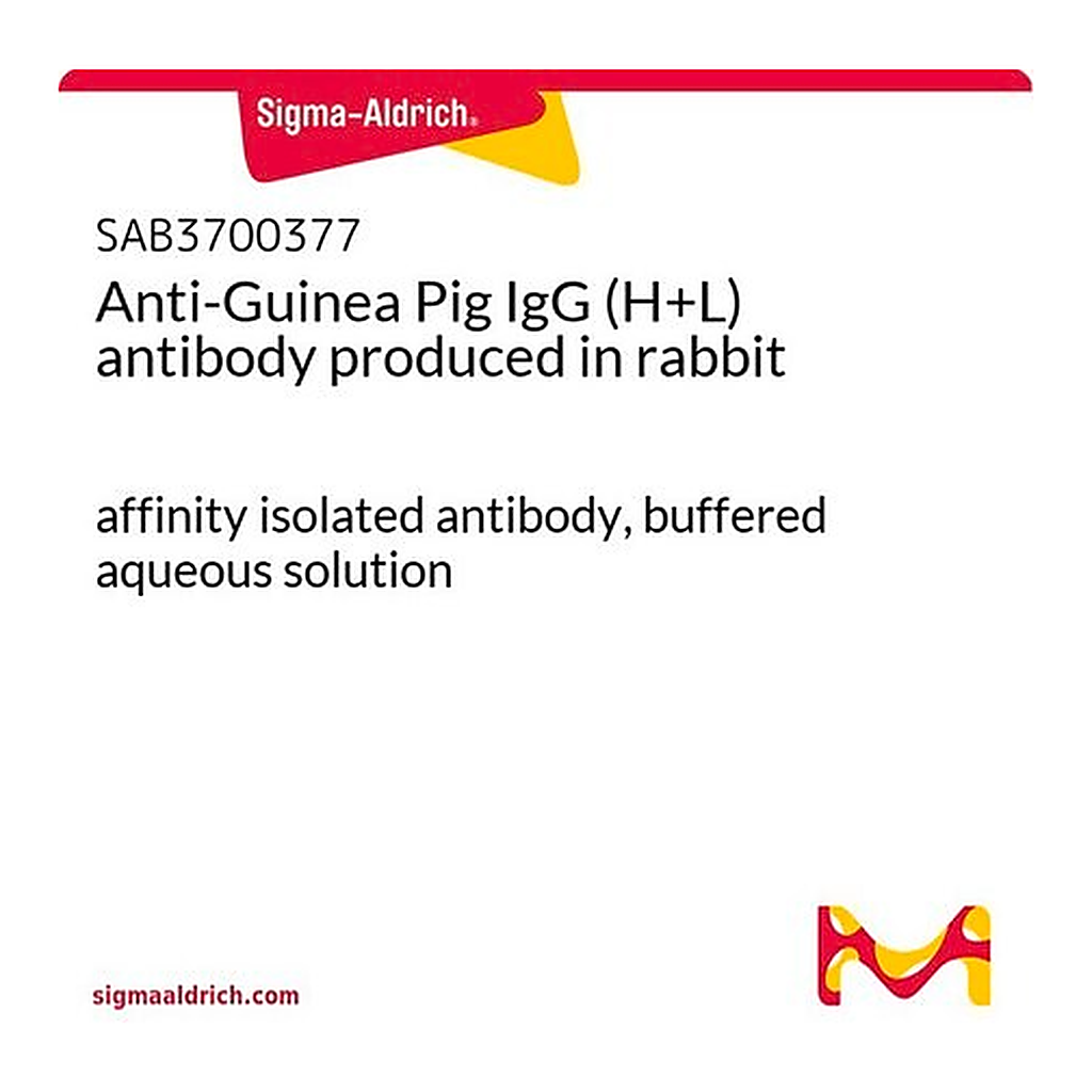 Merck Anti-Guinea Pig IgG (H+L) antibody produced in rabbit