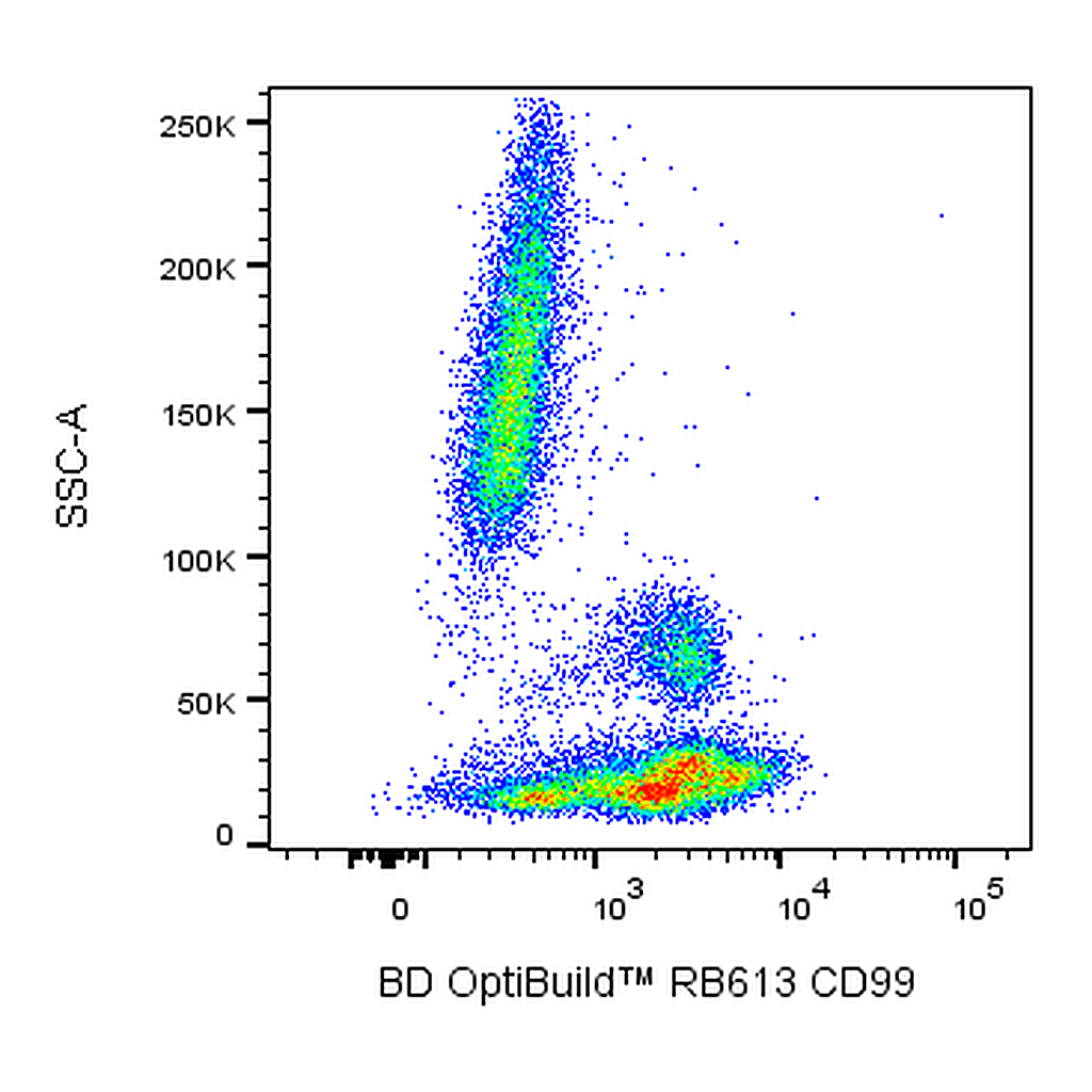 BD RB613 Mouse Anti-Human CD99