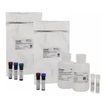 Thermo Fisher Scientific eBioscience Essential Human Th1/Th17 Phenotyping Kit