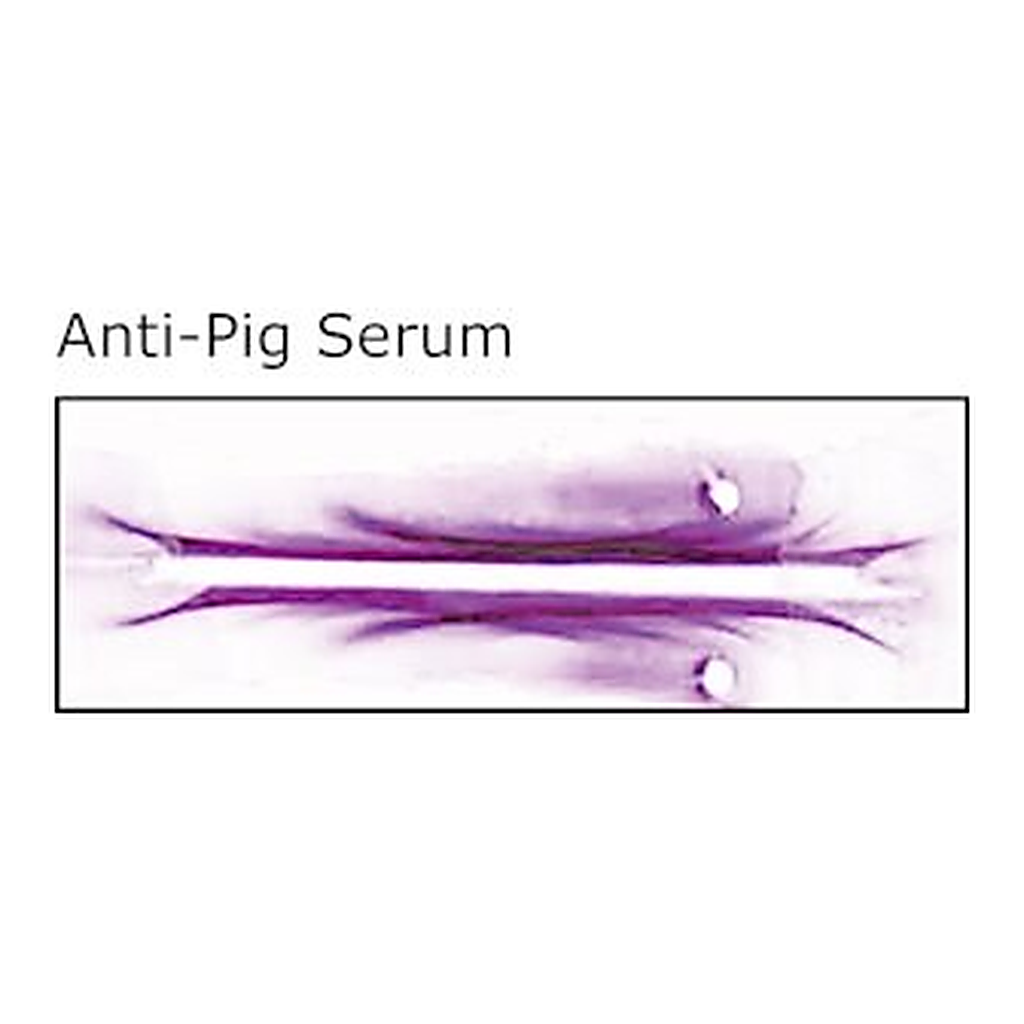 Merck RABBIT ANTI-PIG WHOLE SERUM
