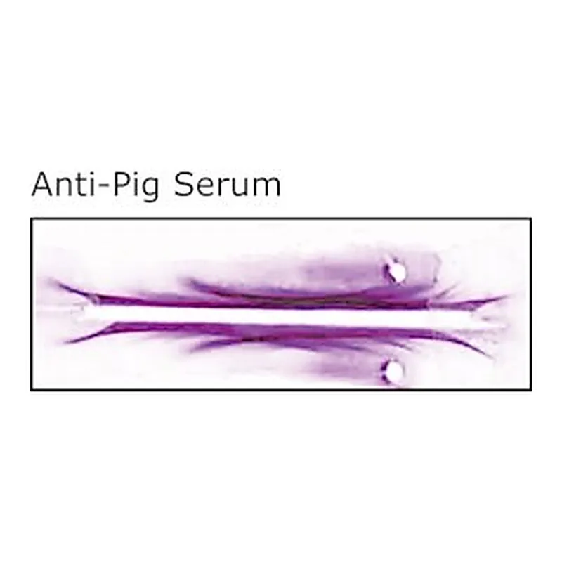 Merck RABBIT ANTI-PIG WHOLE SERUM