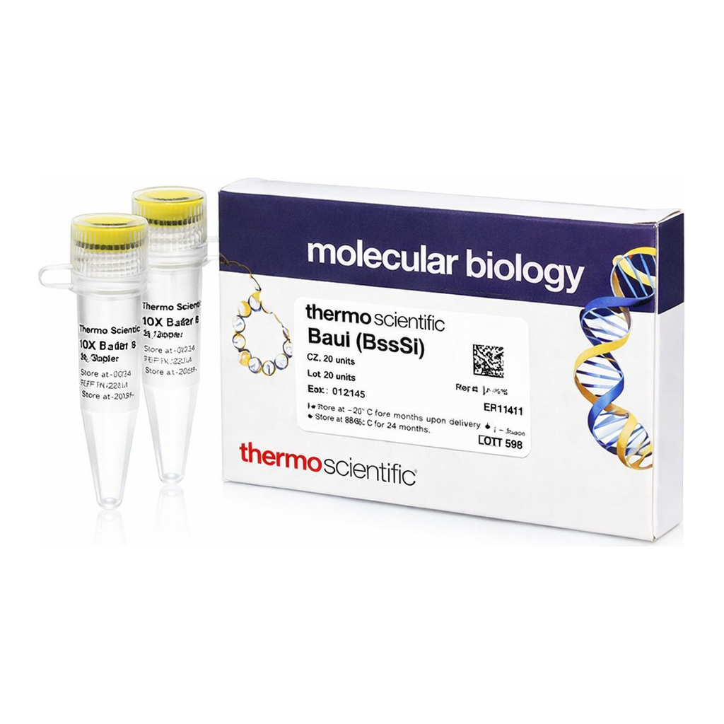 Thermo Fisher Scientific BauI (BssSI) (10 U/&mu;L)