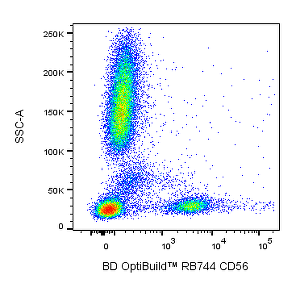 BD RB744 Mouse Anti-Human CD56
