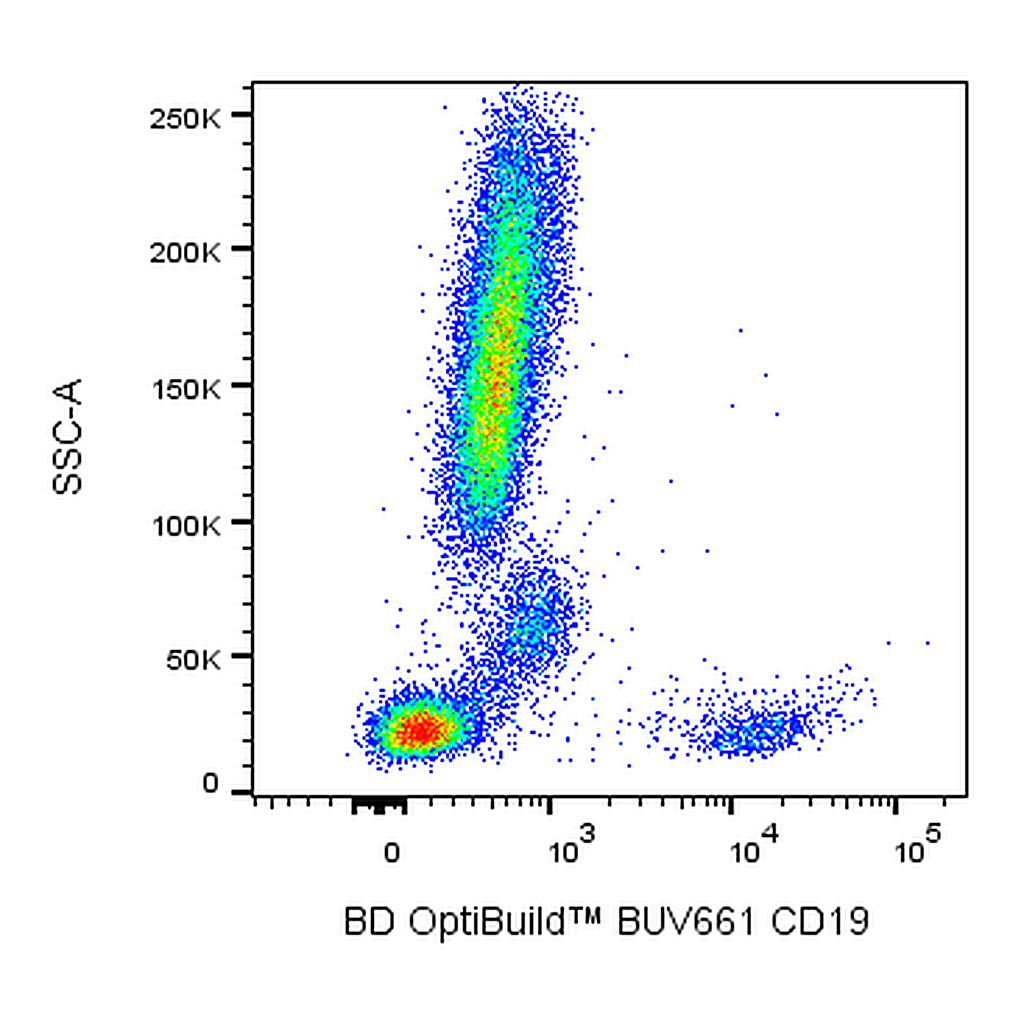 BD BUV661 Mouse Anti-Human CD19