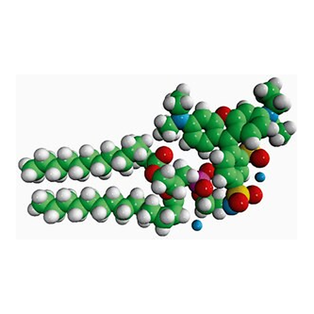 Merck 14:0 LISS RHOD PE