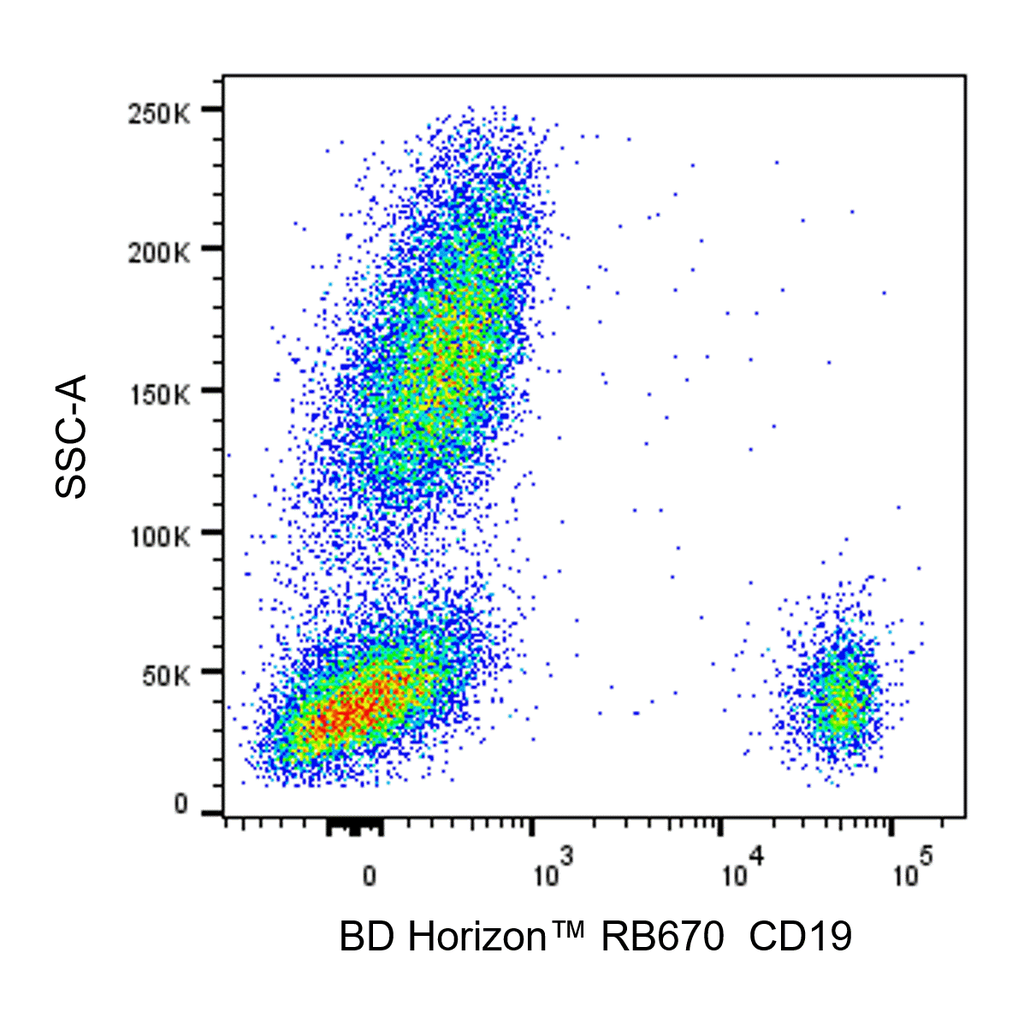 BD RB670 Mouse Anti-Human CD19