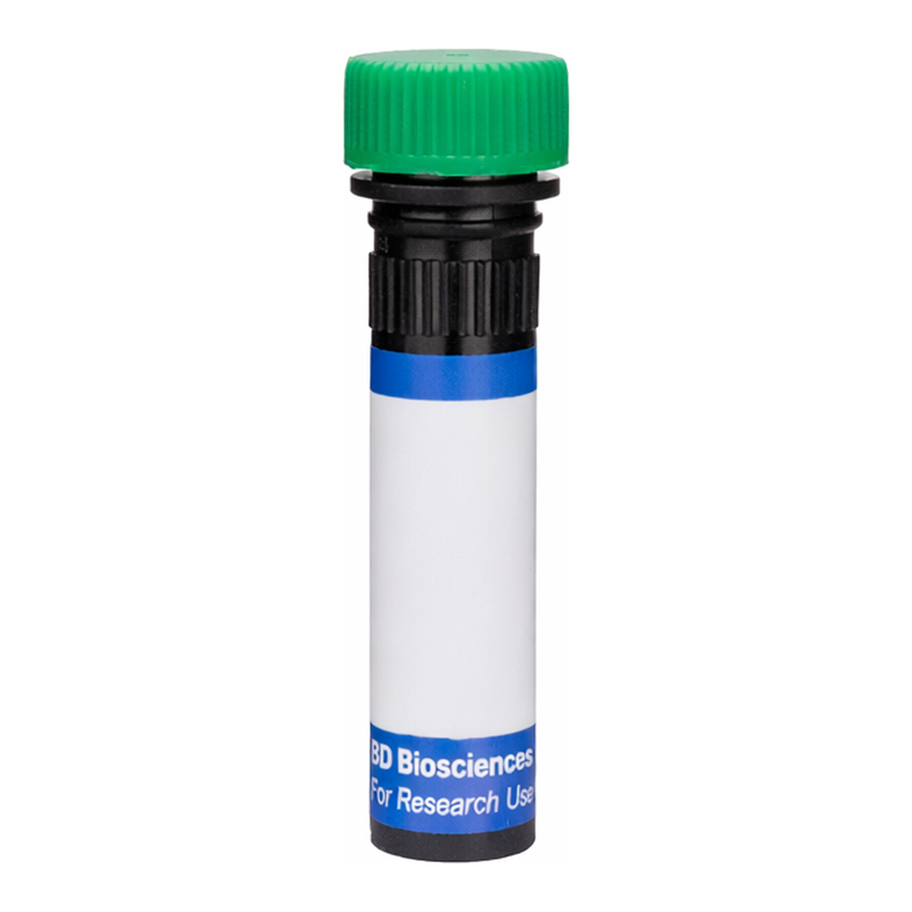 BD RB545 Mouse Anti-Human Chondroitin Sulfate (NG2)