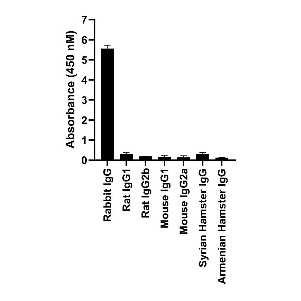 Thermo Fisher Scientific Goat anti-Rabbit IgG Fc, Cross-Adsorbed Secondary Antibody, Alexa Fluor 594