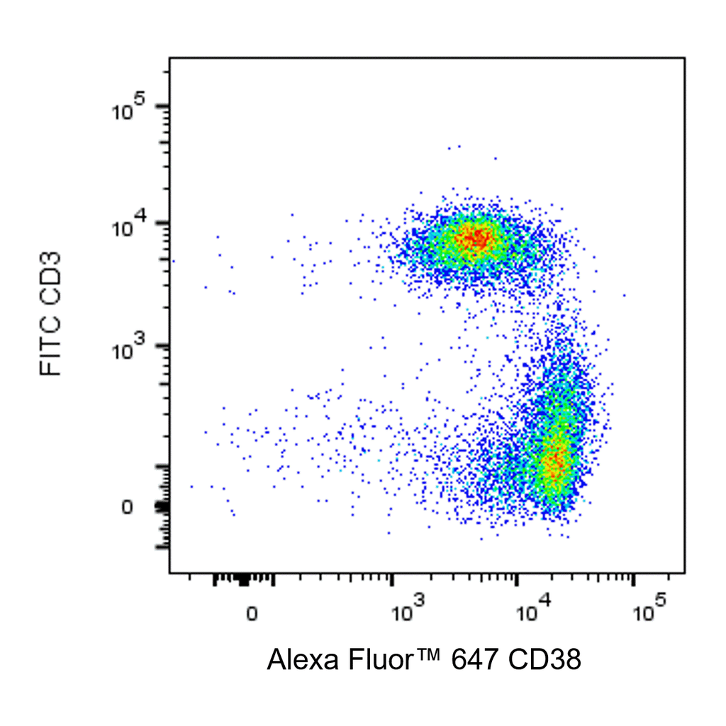 BD Alexa Fluor 647 Mouse Anti-Rat CD38