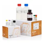 Thermo Fisher Scientific APO BrdU (TUNEL) Kit