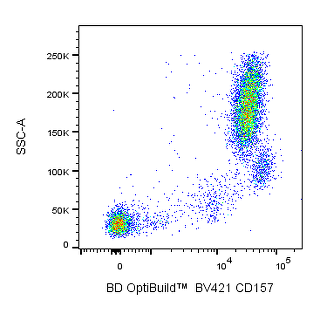 BD BV421 Mouse Anti-Human CD157