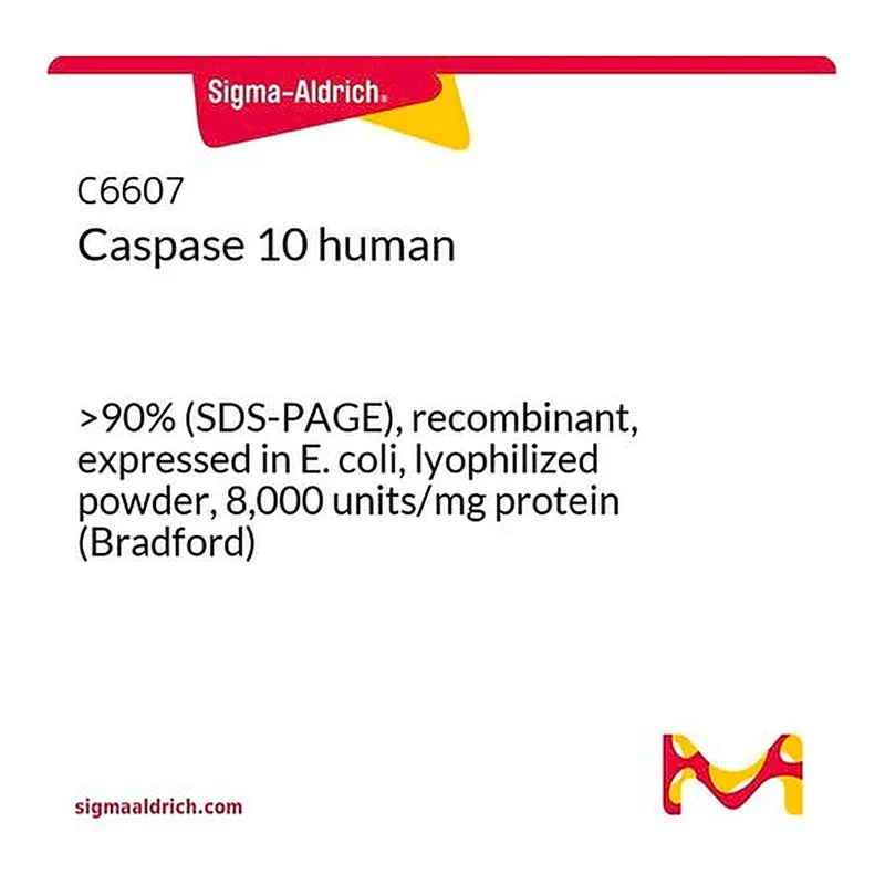 Merck Caspase 10 human