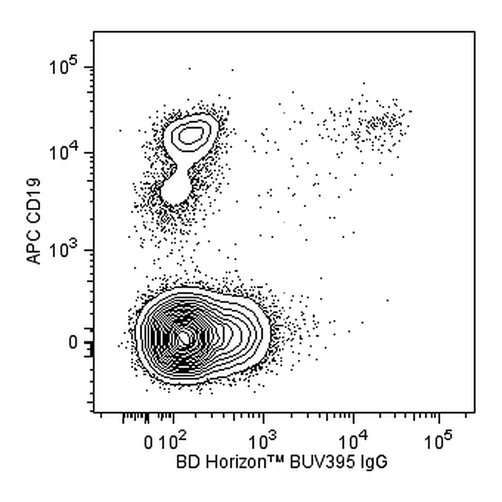 BD BUV395 Mouse Anti-Human IgG