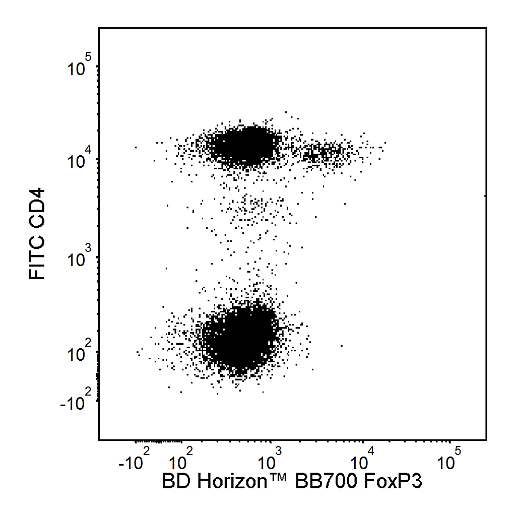 BD BB700 Mouse Anti-Human FoxP3