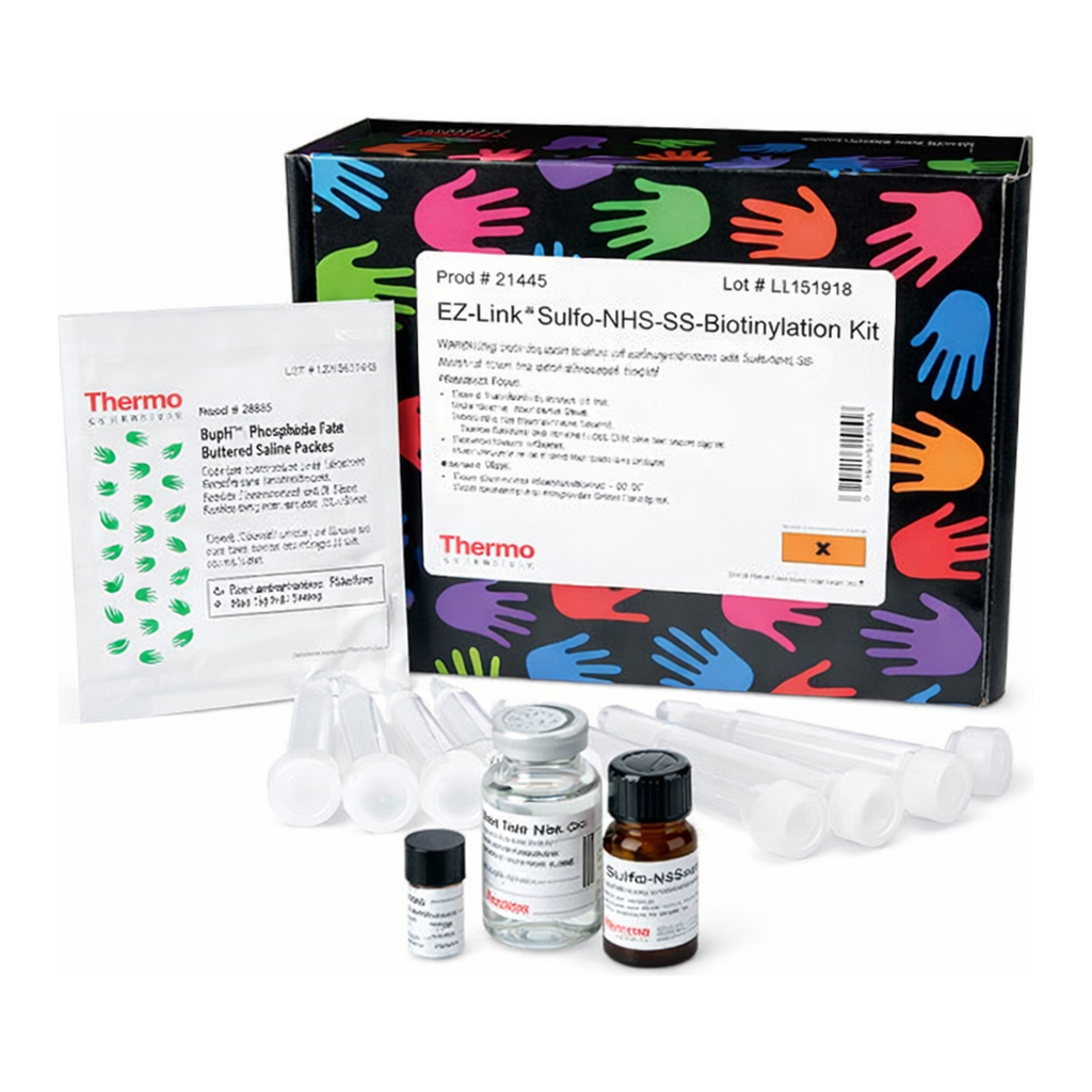 Thermo Fisher Scientific EZ-Link Sulfo NHS-SS Biotinylation Kit