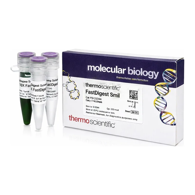 Thermo Fisher Scientific FastDigest SmiI
