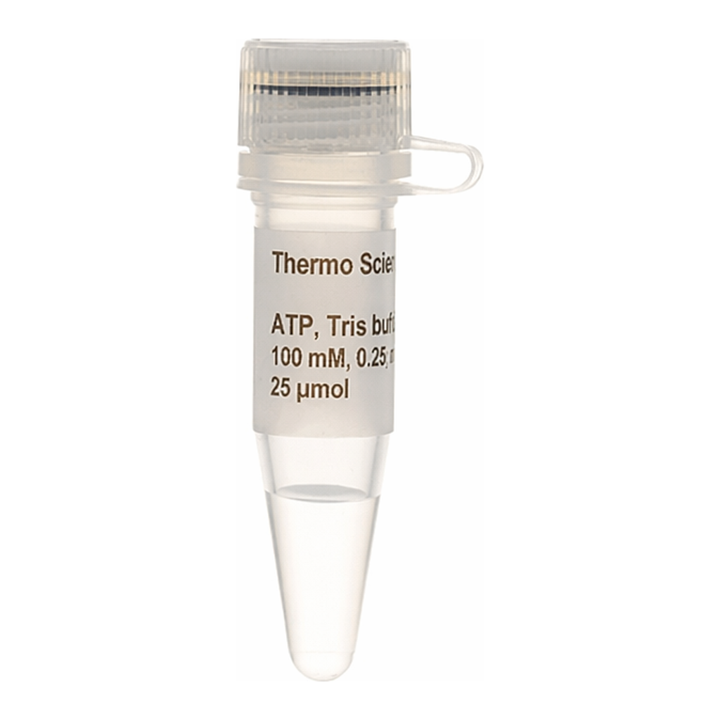 Thermo Fisher Scientific ATP Solution, Tris buffered