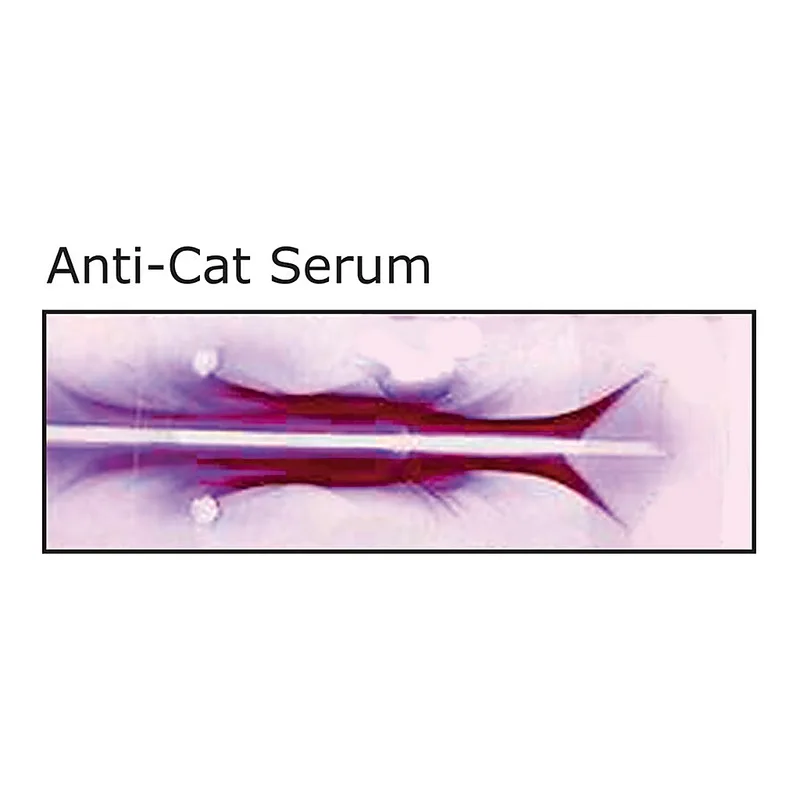 Merck Anti-Cat Serum antibody produced in rabbit